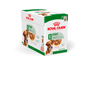 Royal Canin Mini Ageing Gravy Wet Food Pouches 85g pet product in Qatar