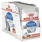 Royal Canin Indoor Gravy Cat Wet Food Pouches 85g x 12 pet product in Qatar