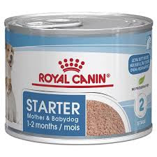 Royal Canin Starter Mousse Dog food Wet Can 195G x 12 pet product in Qatar