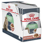 Royal Canin Digest Sensitive Gravy Cat Wet Food Pouches 12 x 85 g pet product in Qatar