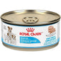 Royal Canin Canine Starter Mousse Cat Wet Food 195g pet product in Qatar