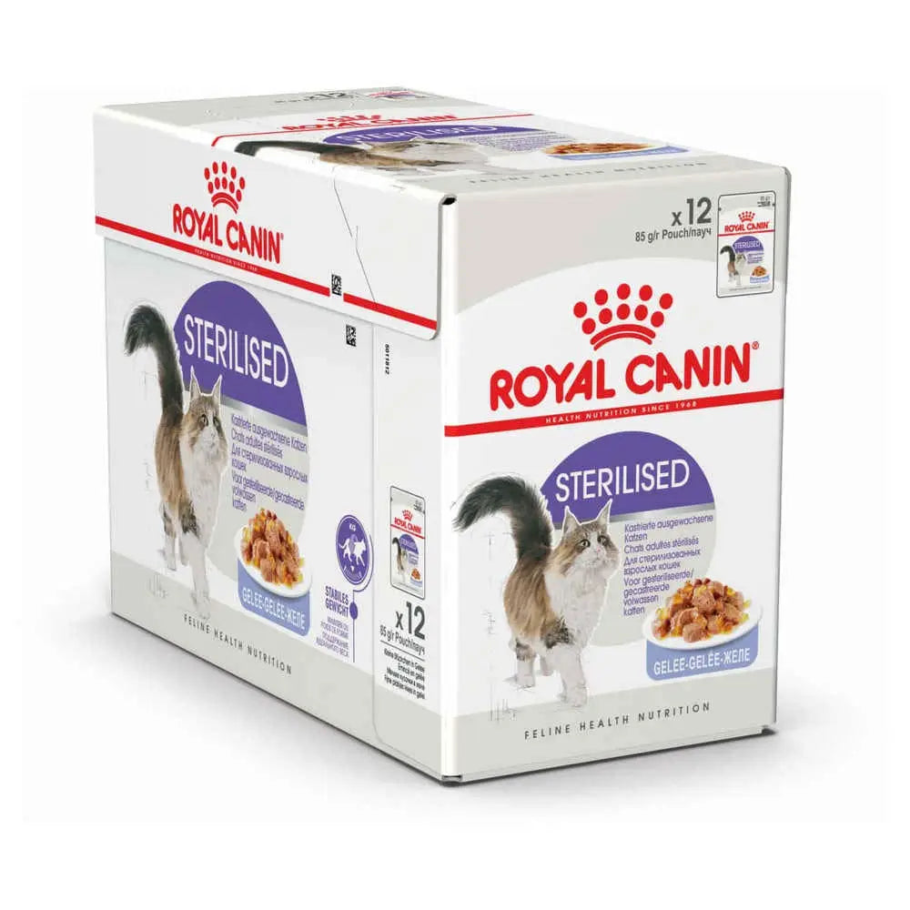 Royal Canin Sterilised Jelly Cat Wet Food 85g pet product in Qatar