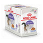 Royal Canin Sterilised Jelly Cat Wet Food 85g pet product in Qatar
