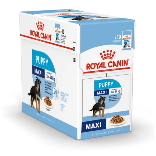 Royal Canin Maxi Puppy food packaging on a white background