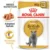 Royal Canin British Shorthair Pouches 85G