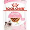 Royal Canin Feline Health Kitten Gravy Pouches 85G