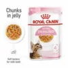 Royal Canin Kitten Sterilized Jelly Pouches 85G